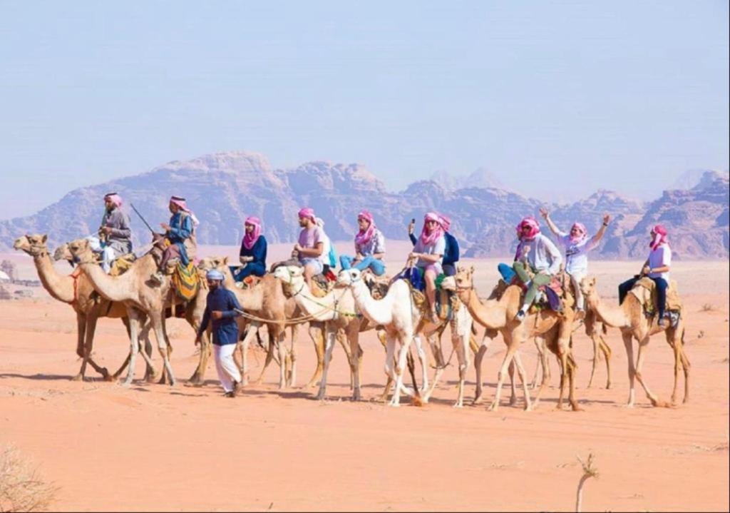 Bedouin Adventure & Tours Hotel Wadi Rum Exterior photo